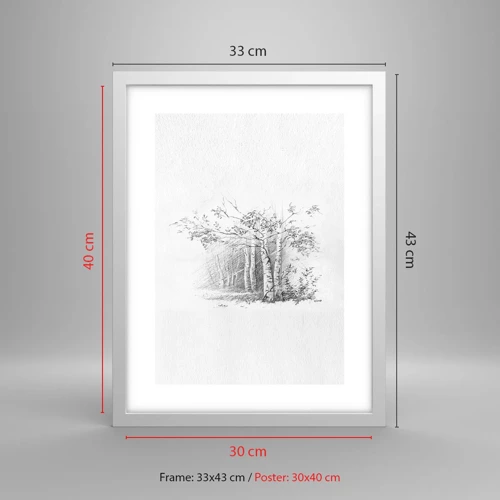 Plakat i hvid ramme - Lyset fra birkeskoven - 30x40 cm