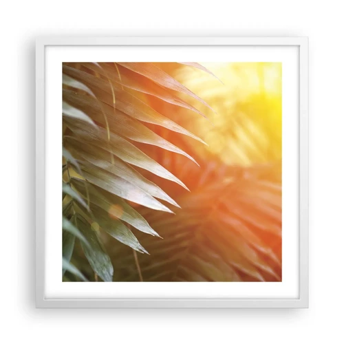 Plakat i hvid ramme - Morgen i junglen - 50x50 cm