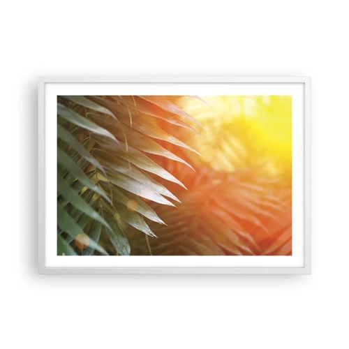 Plakat i hvid ramme - Morgen i junglen - 70x50 cm