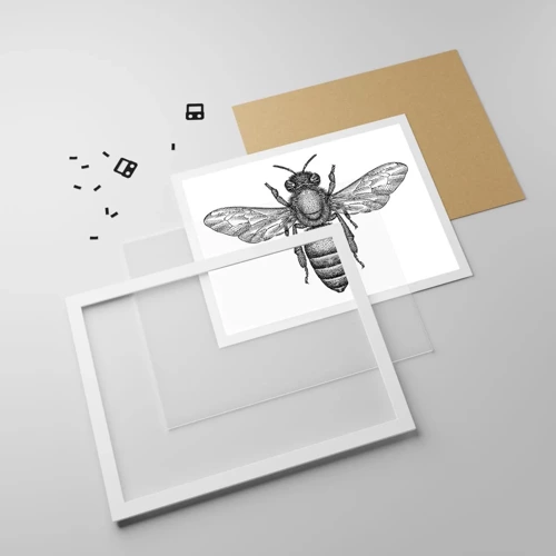 Plakat i hvid ramme - Portræt af et insekt - 50x40 cm
