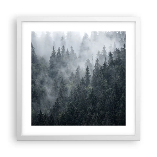 Plakat i hvid ramme - Skovens daggry - 40x40 cm
