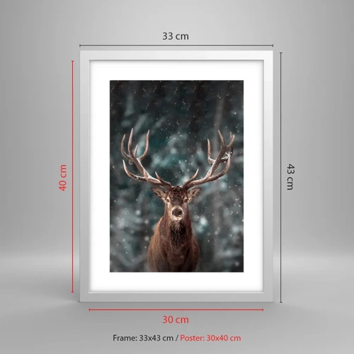 Plakat i hvid ramme - Skovens konge kronet - 30x40 cm