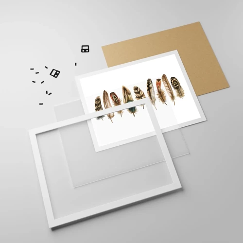 Plakat i hvid ramme - Variation med fjer - 70x50 cm