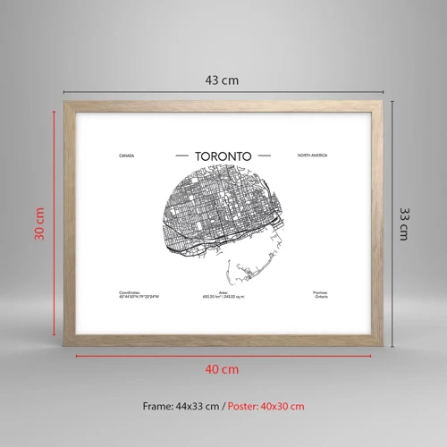 Plakat i ramme af lyst egetræ - Anatomi af Toronto - 40x30 cm