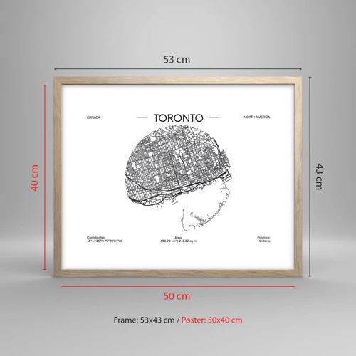 Plakat i ramme af lyst egetræ - Anatomi af Toronto - 50x40 cm