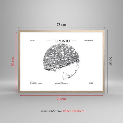 Plakat i ramme af lyst egetræ - Anatomi af Toronto - 70x50 cm