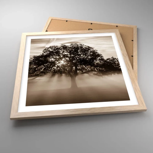 Plakat i ramme af lyst egetræ - Det gode videnstræ - 40x40 cm