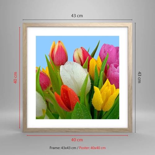 Plakat i ramme af lyst egetræ - En blomstret regnbue i dugdråber - 40x40 cm