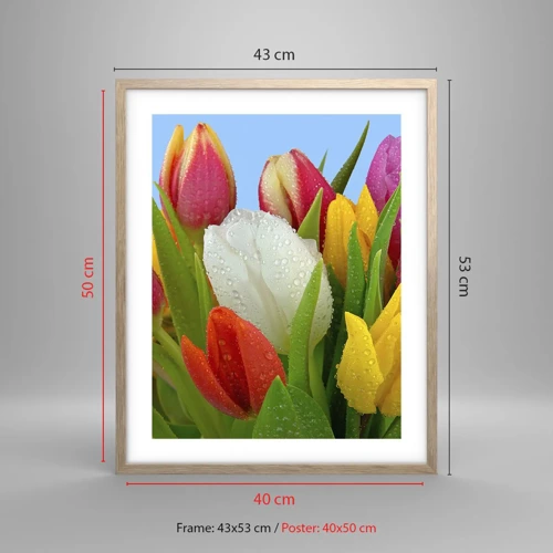 Plakat i ramme af lyst egetræ - En blomstret regnbue i dugdråber - 40x50 cm