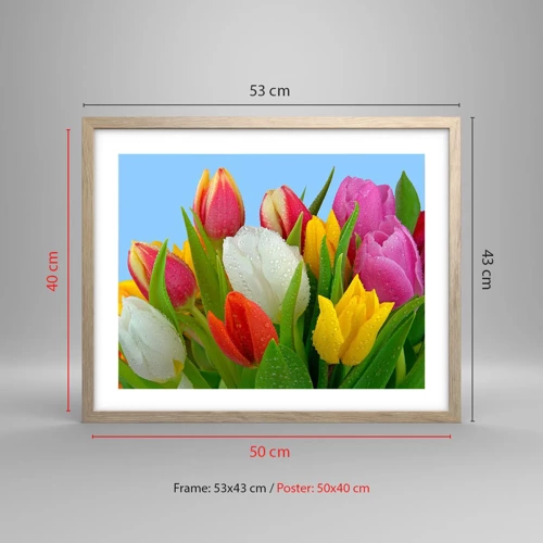 Plakat i ramme af lyst egetræ - En blomstret regnbue i dugdråber - 50x40 cm