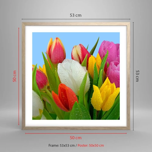 Plakat i ramme af lyst egetræ - En blomstret regnbue i dugdråber - 50x50 cm