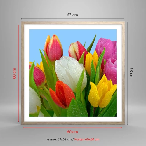 Plakat i ramme af lyst egetræ - En blomstret regnbue i dugdråber - 60x60 cm