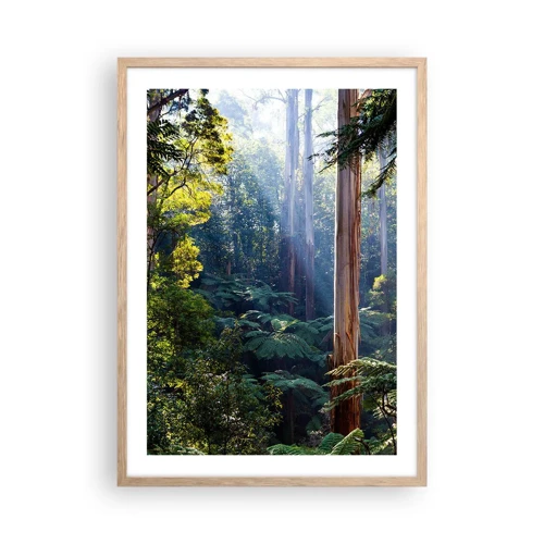 Plakat i ramme af lyst egetræ - En fortælling om skoven - 50x70 cm