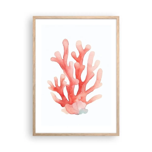 Plakat i ramme af lyst egetræ - Farven koral - 50x70 cm