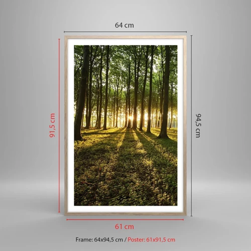 Plakat i ramme af lyst egetræ - Fotografering af alle fjedre - 61x91 cm