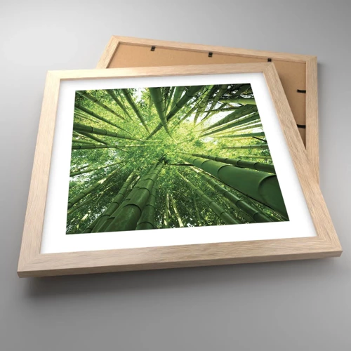 Plakat i ramme af lyst egetræ - I en bambuslund - 30x30 cm
