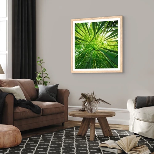 Plakat i ramme af lyst egetræ - I en bambuslund - 50x50 cm
