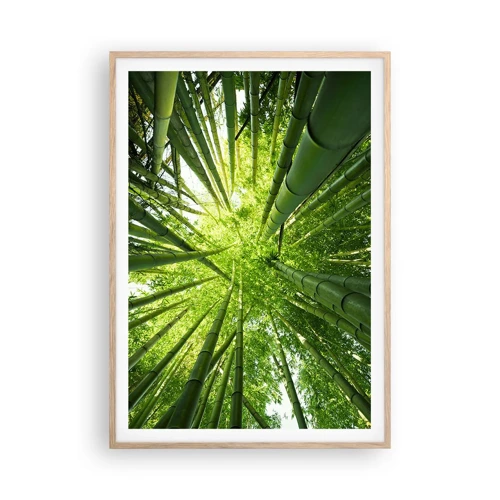 Plakat i ramme af lyst egetræ - I en bambuslund - 70x100 cm