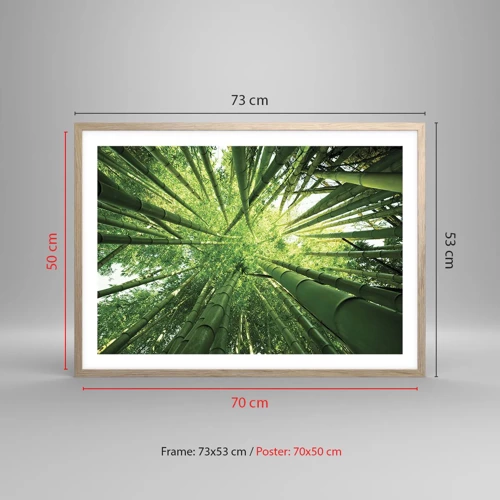 Plakat i ramme af lyst egetræ - I en bambuslund - 70x50 cm