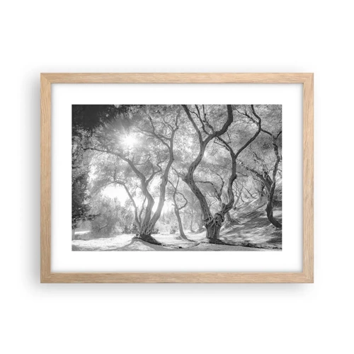 Plakat i ramme af lyst egetræ - I en olivenlund - 40x30 cm