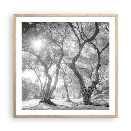 Plakat i ramme af lyst egetræ - I en olivenlund - 60x60 cm