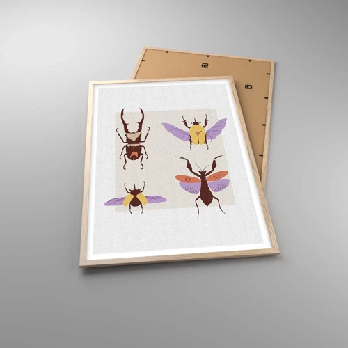Plakat i ramme af lyst egetræ - Insekternes verden - 61x91 cm