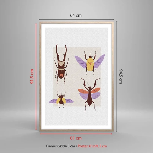 Plakat i ramme af lyst egetræ - Insekternes verden - 61x91 cm