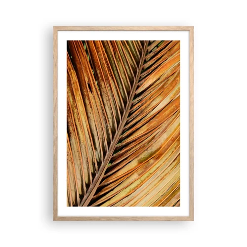 Plakat i ramme af lyst egetræ - Kokosnød guld - 50x70 cm