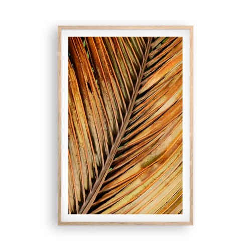 Plakat i ramme af lyst egetræ - Kokosnød guld - 61x91 cm