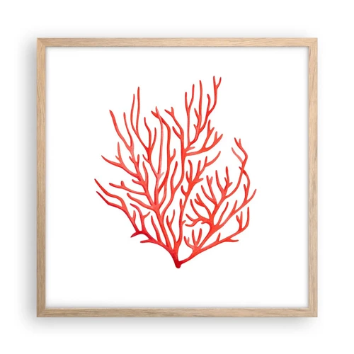 Plakat i ramme af lyst egetræ - Koral-filigran - 50x50 cm
