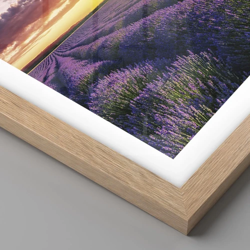 Plakat i ramme af lyst egetræ - Lavendelverden - 100x70 cm