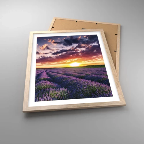 Plakat i ramme af lyst egetræ - Lavendelverden - 40x50 cm