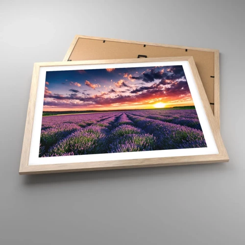 Plakat i ramme af lyst egetræ - Lavendelverden - 50x40 cm