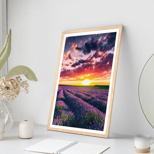 Plakat i ramme af lyst egetræ - Lavendelverden - 50x70 cm