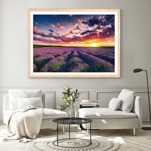 Plakat i ramme af lyst egetræ - Lavendelverden - 70x50 cm