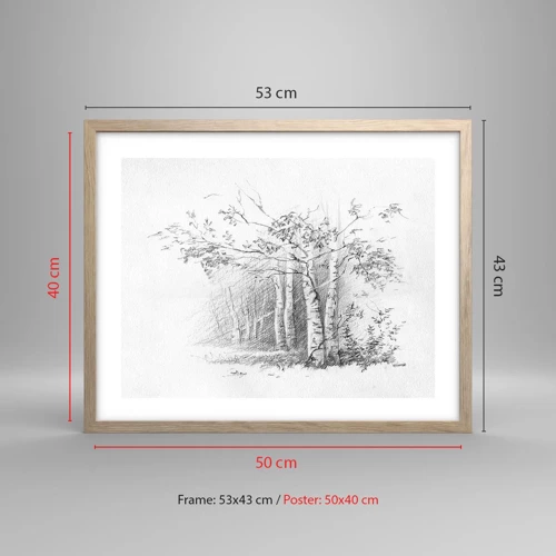 Plakat i ramme af lyst egetræ - Lyset fra birkeskoven - 50x40 cm