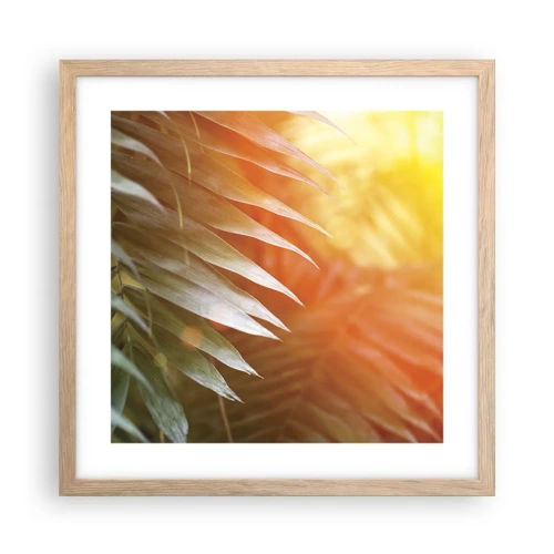 Plakat i ramme af lyst egetræ - Morgen i junglen - 40x40 cm