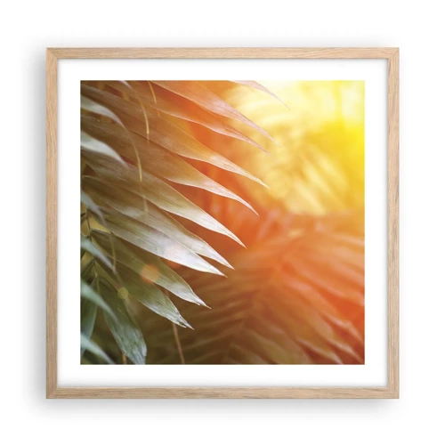 Plakat i ramme af lyst egetræ - Morgen i junglen - 50x50 cm