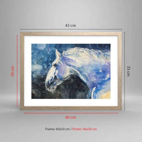 Plakat i ramme af lyst egetræ - Portræt i et blåt skær - 40x30 cm