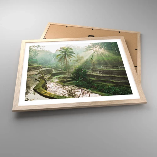 Plakat i ramme af lyst egetræ - Voksende op i solen - 50x40 cm