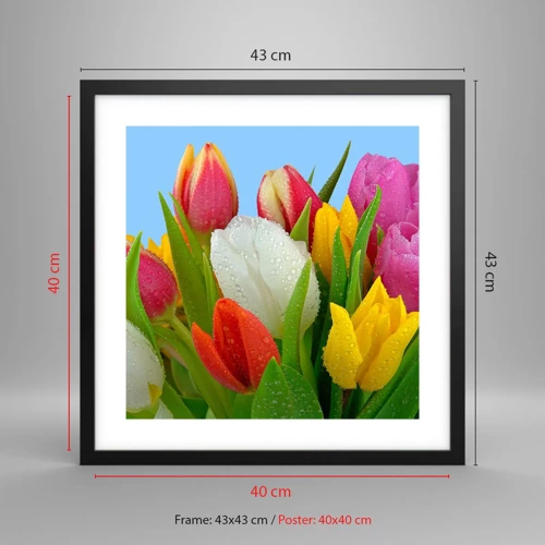 Plakat i sort ramme - En blomstret regnbue i dugdråber - 40x40 cm