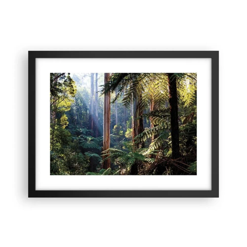 Plakat i sort ramme - En fortælling om skoven - 40x30 cm