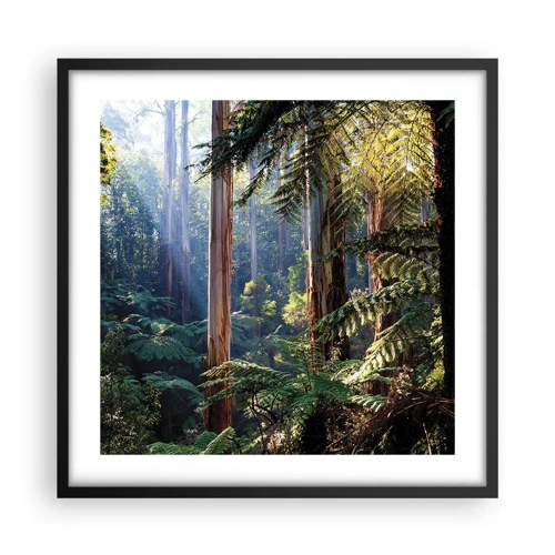 Plakat i sort ramme - En fortælling om skoven - 50x50 cm