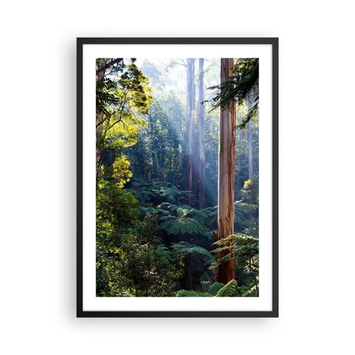 Plakat i sort ramme - En fortælling om skoven - 50x70 cm