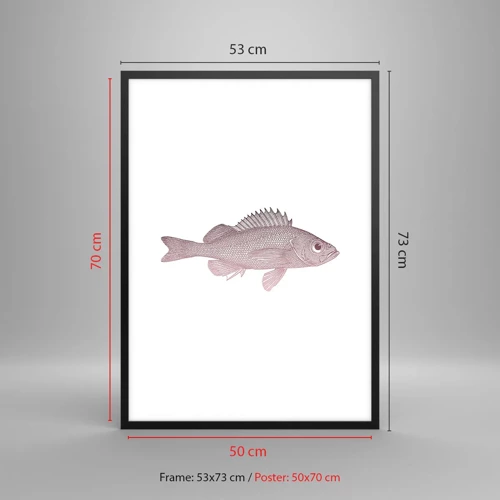 Plakat i sort ramme - Fisk med store øjne - 50x70 cm