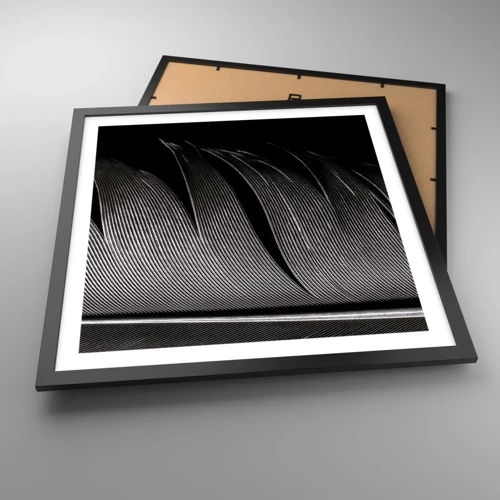 Plakat i sort ramme - Fjer - en vidunderlig konstruktion - 50x50 cm
