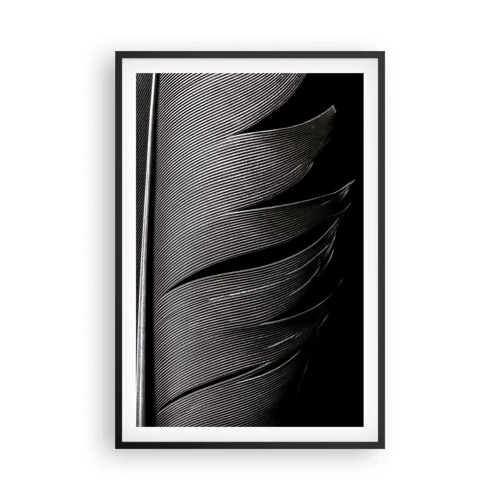 Plakat i sort ramme - Fjer - en vidunderlig konstruktion - 61x91 cm