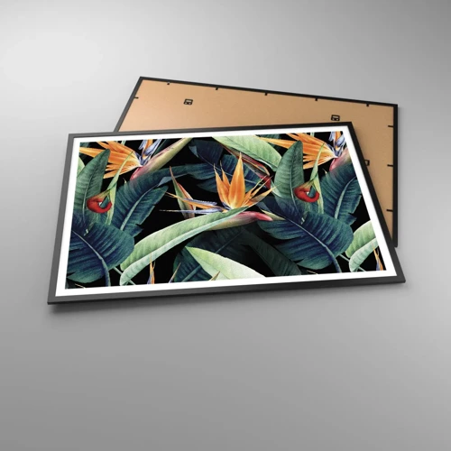 Plakat i sort ramme - Flammeblomster i troperne - 100x70 cm