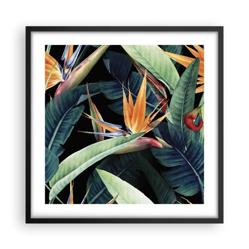 Plakat i sort ramme - Flammeblomster i troperne - 50x50 cm