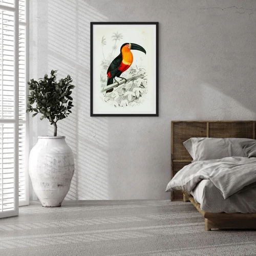 Plakat i sort ramme - Fuglefarver - 50x70 cm